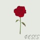 Roses Single