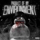 Product of My Environment