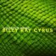 Billy Ray Single