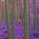 Vådeskudd Single
