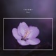 Otava Single