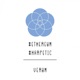 Ethereum Harpetic Single