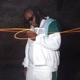Hate or Love Me Single