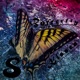 Butterfly Kisses feat Sam Joe Single