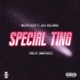 Special Ting feat Jaij Hollands Single