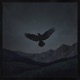 The Long Road Ahead Single