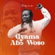 Gyama Abɔ Woso Single