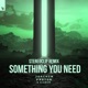 Something You Need Stereoclip Remix Single