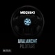 Pilotage Avalanche Single