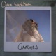 Garden Single