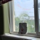Open Windows Single