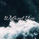 Without You feat Veraz Single