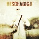 Beschadigd Single