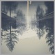 Delusions Single