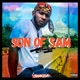SON of SAM