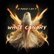 White Canary Single