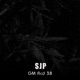 S J P Single