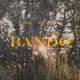 Bando Single