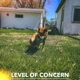 Level of Concern Single