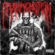 FRANKENSTEIN feat Netuh Single