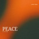Peace in the Storm Single