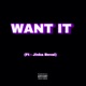 Want It feat Jinka Beval Single