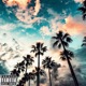 Dear California Single