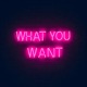 What You Want Single
