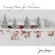 Coming Home for Christmas Single