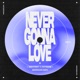 Never Gonna Love goddard Edit Single
