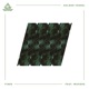 Vines feat Woodes Single