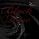 Black Rose Single