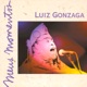 Luiz Gonzaga Meus Momentos