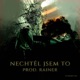 Nechtěl jsem to Single
