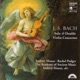 J S Bach Solo Double Violin Concertos