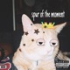 SPUR OF THE MOMENT feat KirbSoKrazy Single