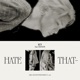 Hate that feat TAEYEON Single