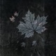 Colors of the Wind Single