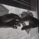 Gib dir meine Hand Single