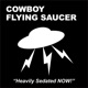 Heavily Sedated NOW Sons and Daughters of Disaster Single