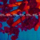 Fiori rossi Single