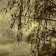 Incorrigible EP