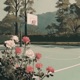 roses Single