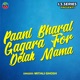 Paani Bharal Gagara For Delak Mama Single