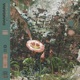 Only Now EP