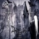 Reborn Phase Single