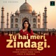 Tu Hai Meri Zindagi Single