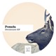 Decisiones EP Single