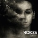 Voices Single