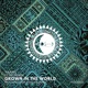 Grown in the World Single